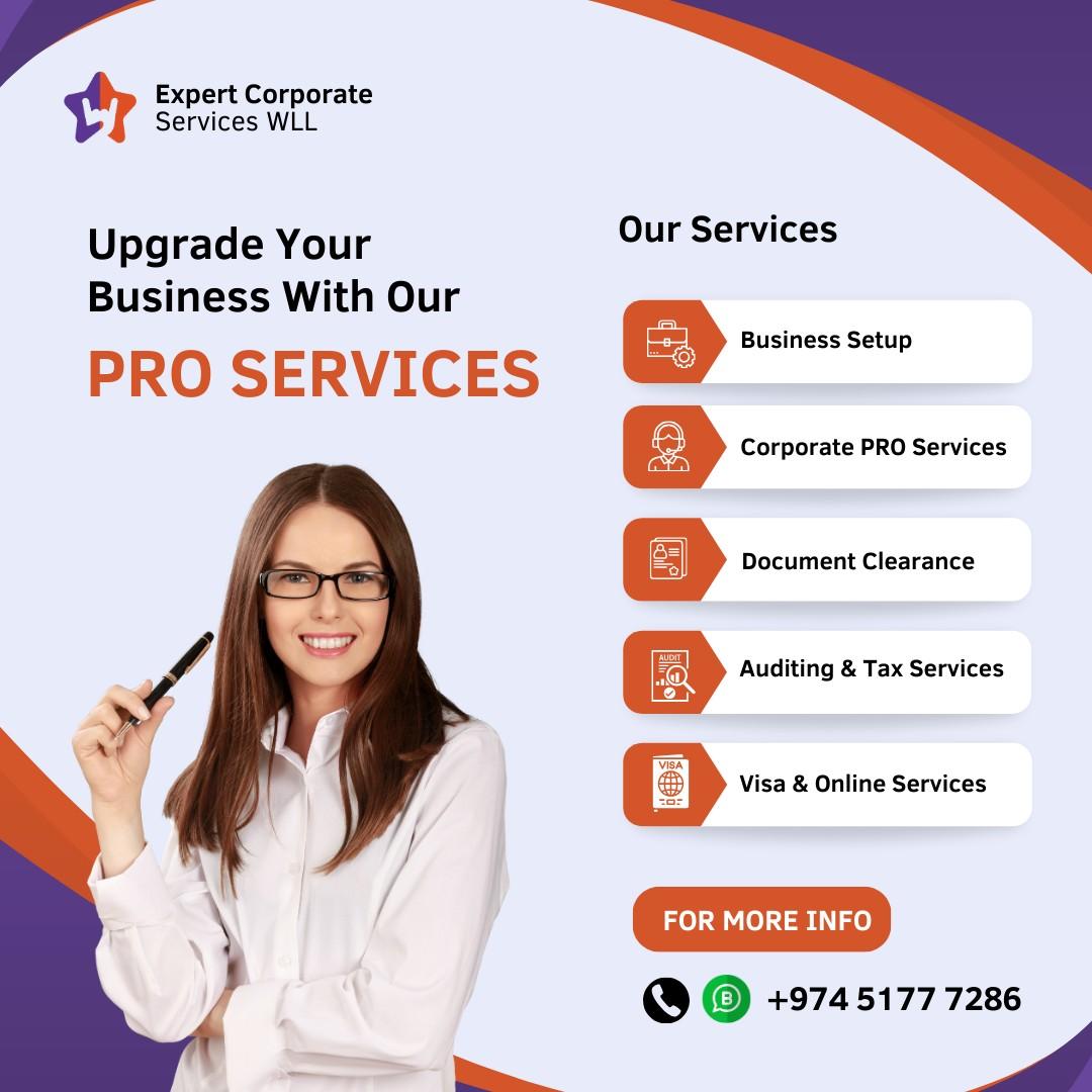 Qatar-PRO Services